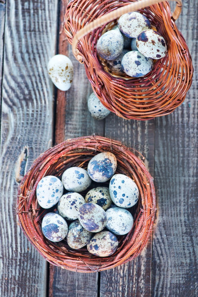 Similar – Image, Stock Photo Group of quail eggs in a gray textile napkin