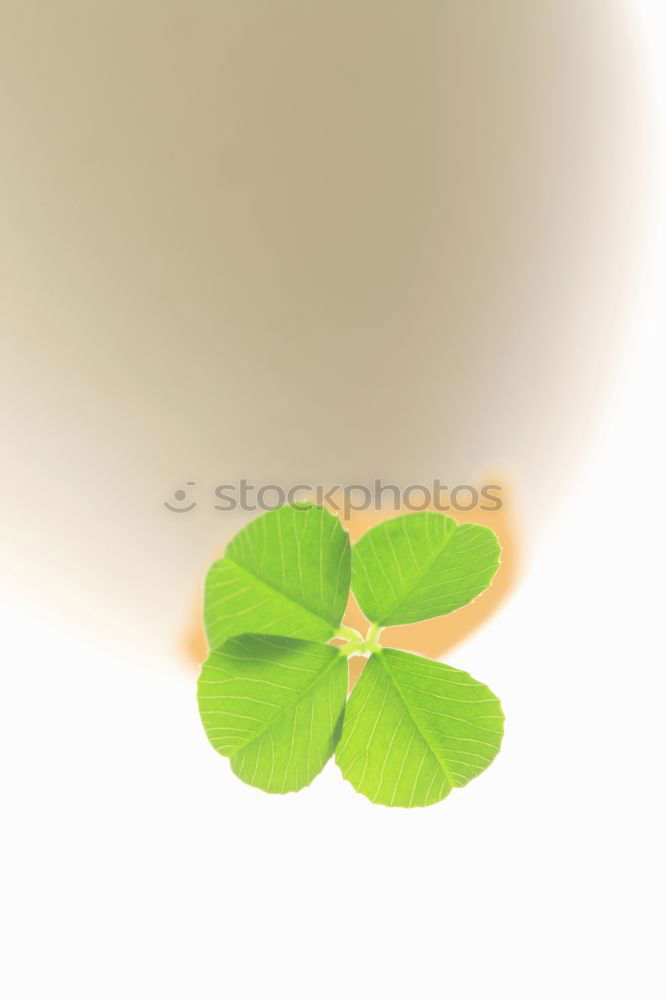 Similar – Image, Stock Photo give luck Lifestyle Design