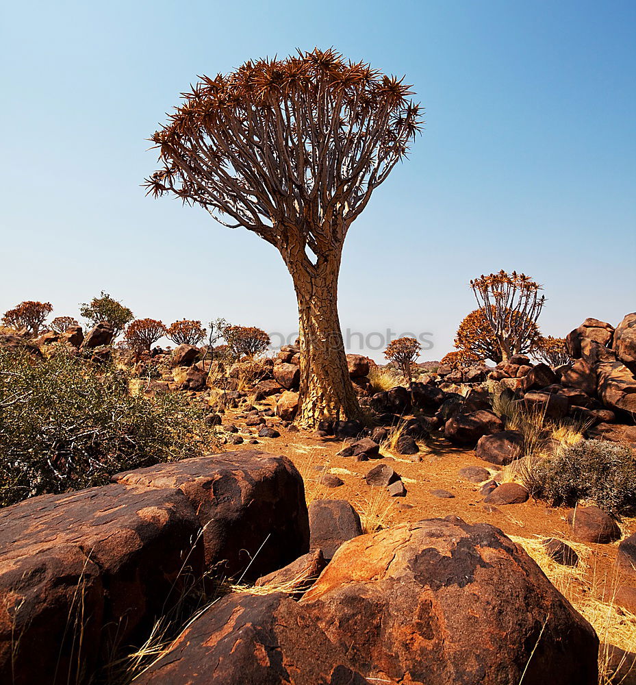 Similar – Image, Stock Photo playground of the giants