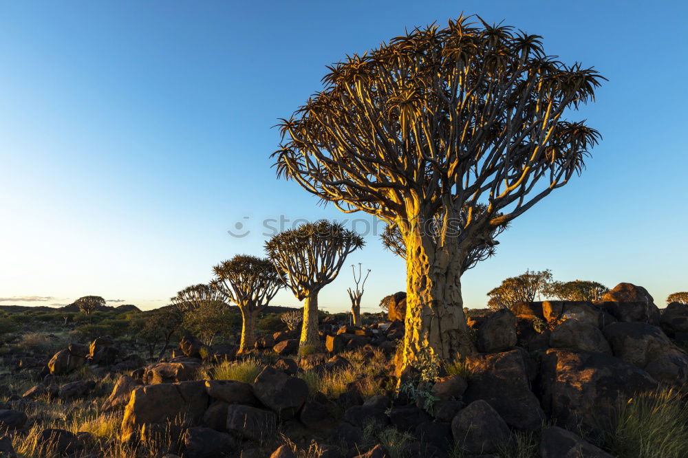 Similar – Image, Stock Photo playground of the giants