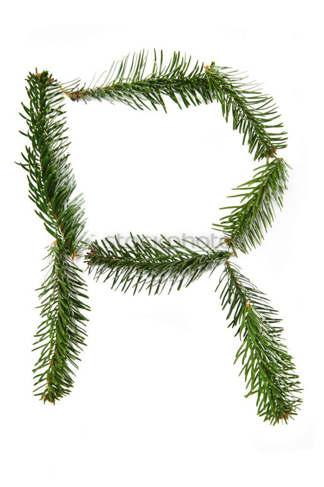 Similar – Image, Stock Photo Hand holding Christmas wreath