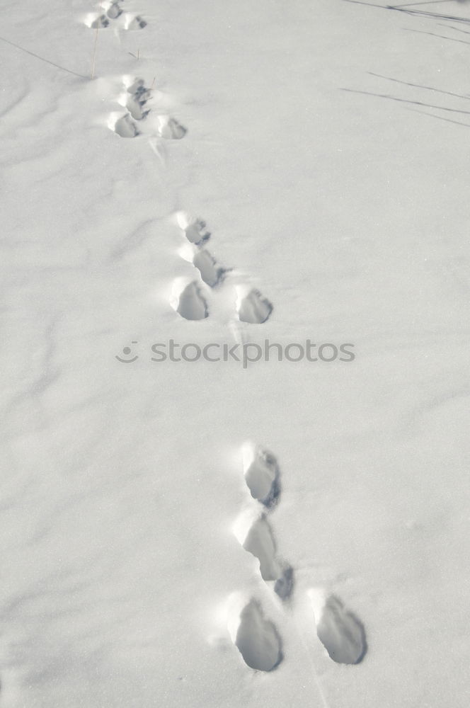 Similar – Image, Stock Photo é France Institut Français