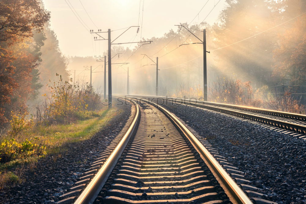 Similar – Image, Stock Photo colored rails Environment