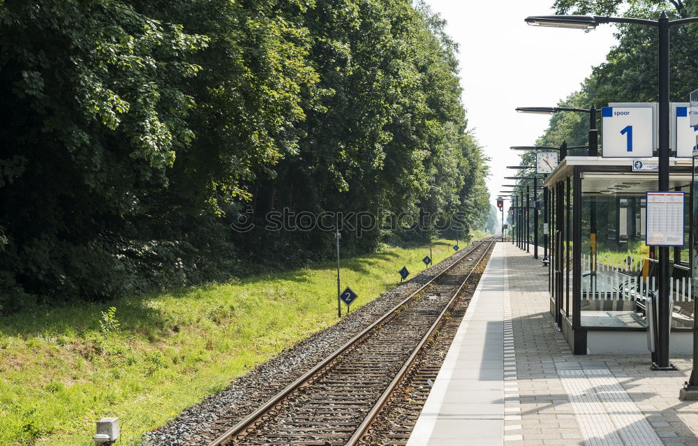 Platform_1 Braunschweig