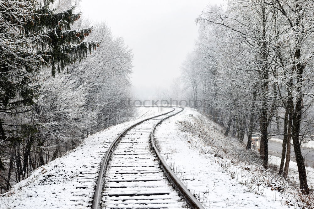 Similar – room divider Nature Winter