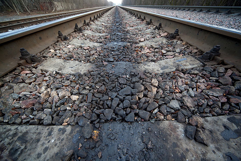 Similar – Image, Stock Photo rails Railroad tracks