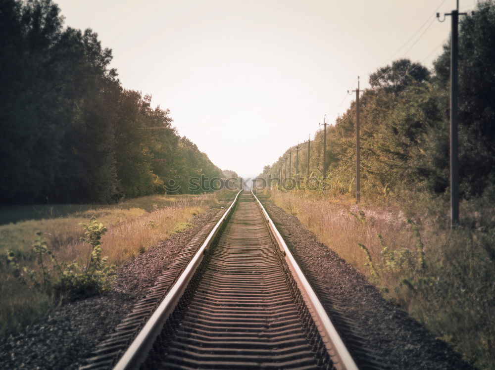 Similar – Image, Stock Photo rails Railroad tracks