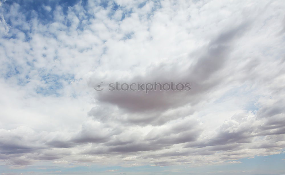 Similar – Image, Stock Photo Half and half Wood Clouds