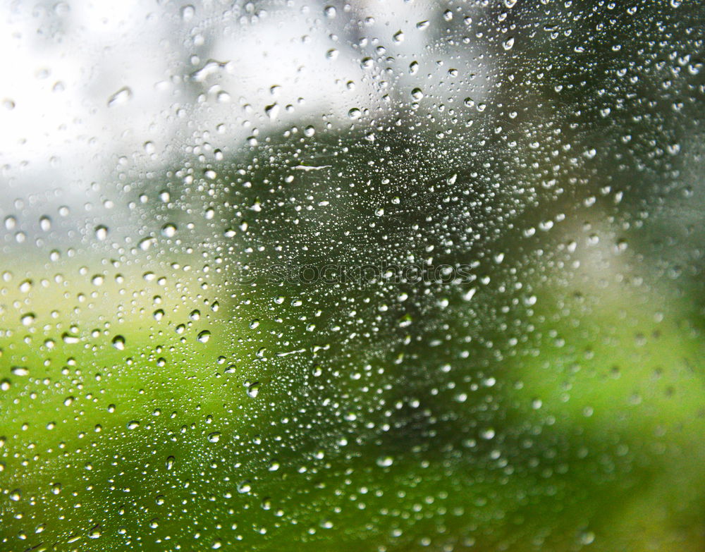 Similar – rain Irrigation Garden