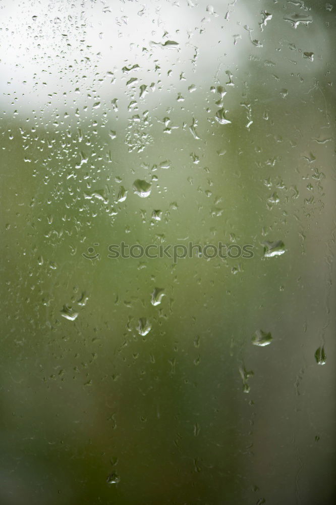 Similar – Image, Stock Photo showery weather Tree