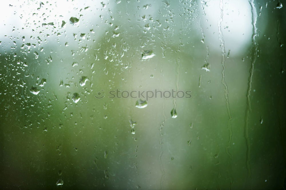 Similar – Image, Stock Photo cold and wet Umbrella Cold