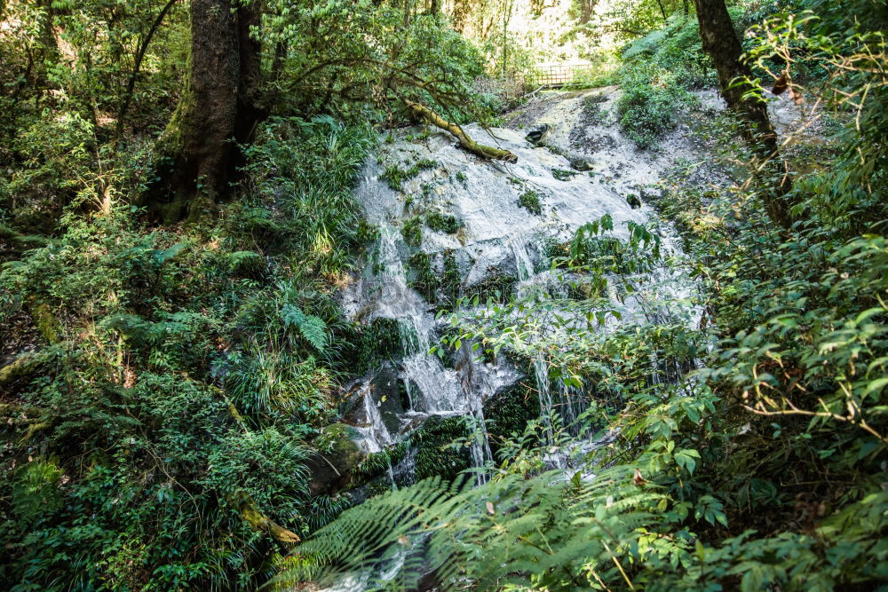 Similar – Foto Bild Aufsteigender Nebel Umwelt