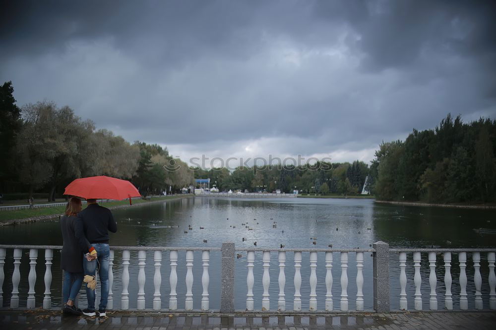 Similar – Image, Stock Photo la solitaria Red Green