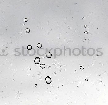 Similar – Image, Stock Photo The Dome Art Plant Water