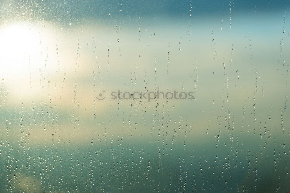 Raindrops at the window