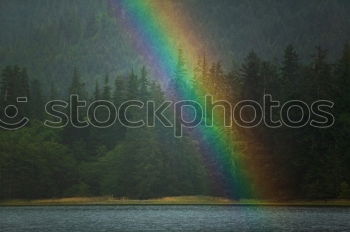 Similar – Image, Stock Photo intense rainbow above forest