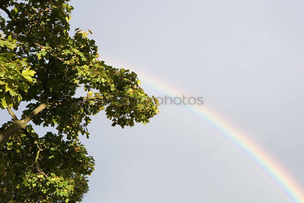 Similar – Image, Stock Photo Rainbow over Plano Piloto / Brasilia DF