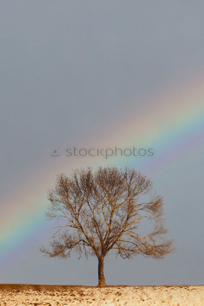 Similar – Image, Stock Photo A double rainbow Nature