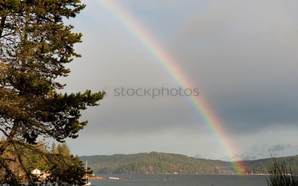 Similar – Image, Stock Photo robot unicorn attack on fairy tale castle