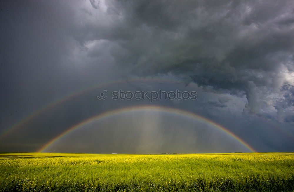 Similar – Image, Stock Photo Landscape on the island of Moen in Denmark