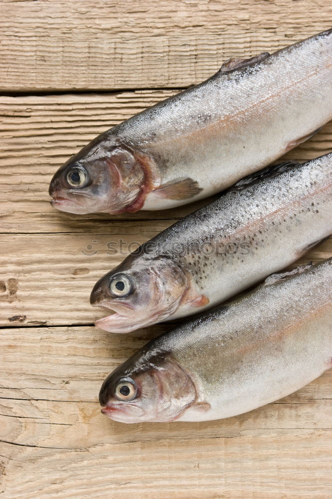 Image, Stock Photo raw trout on white paper