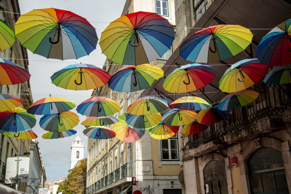 Similar – Image, Stock Photo umbrellas Art Work of art