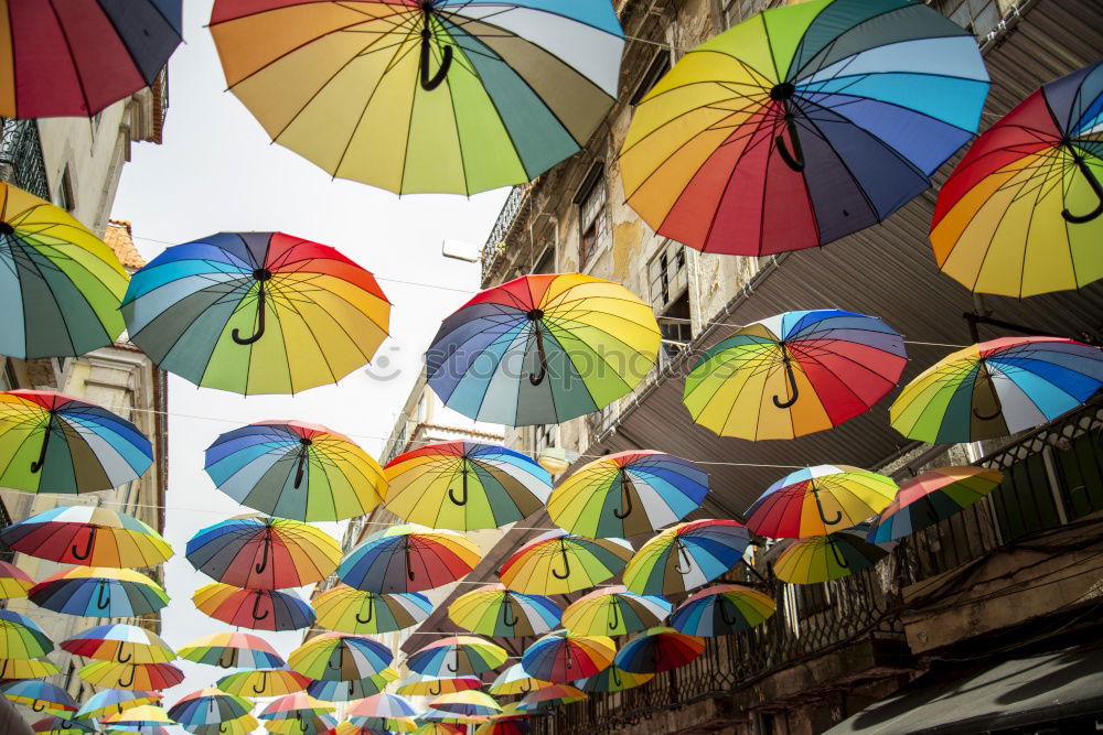 Image, Stock Photo umbrellas Art Work of art