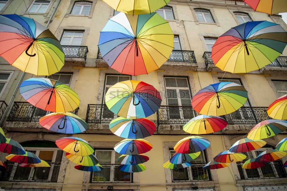 Similar – Foto Bild Luftpost… Teil II | Hochzeitsgesellschaft lässt gemeinsam Ballons steigen.