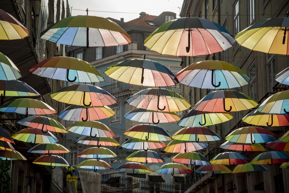 Similar – Image, Stock Photo umbrellas Art Work of art