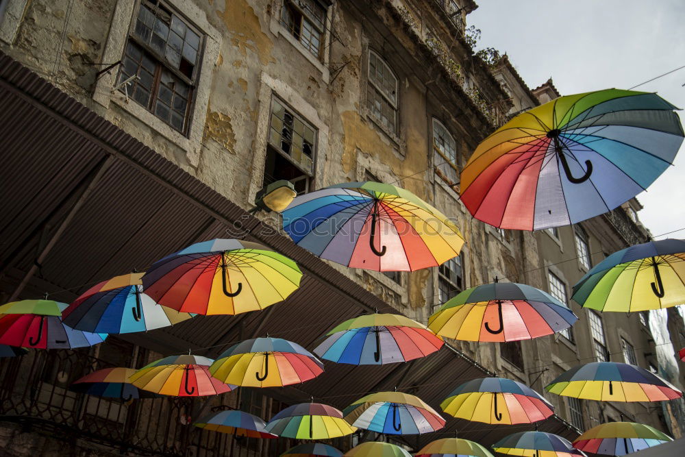 Similar – Image, Stock Photo umbrellas Art Work of art