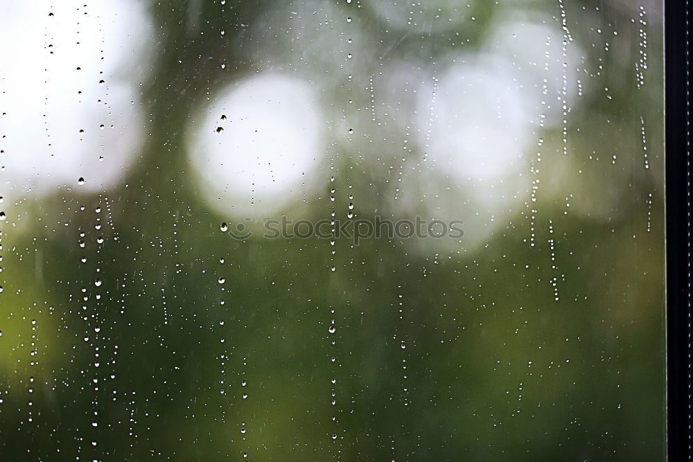 Similar – Image, Stock Photo cold and wet Umbrella Cold