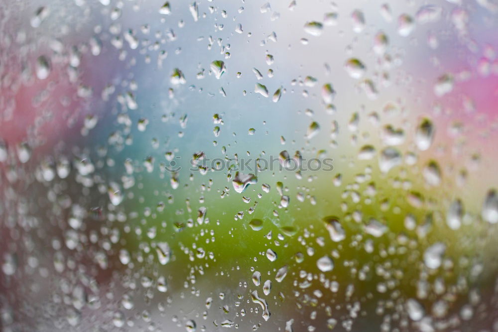 Similar – Different vehicles in a traffic jam through the rainy bus glass