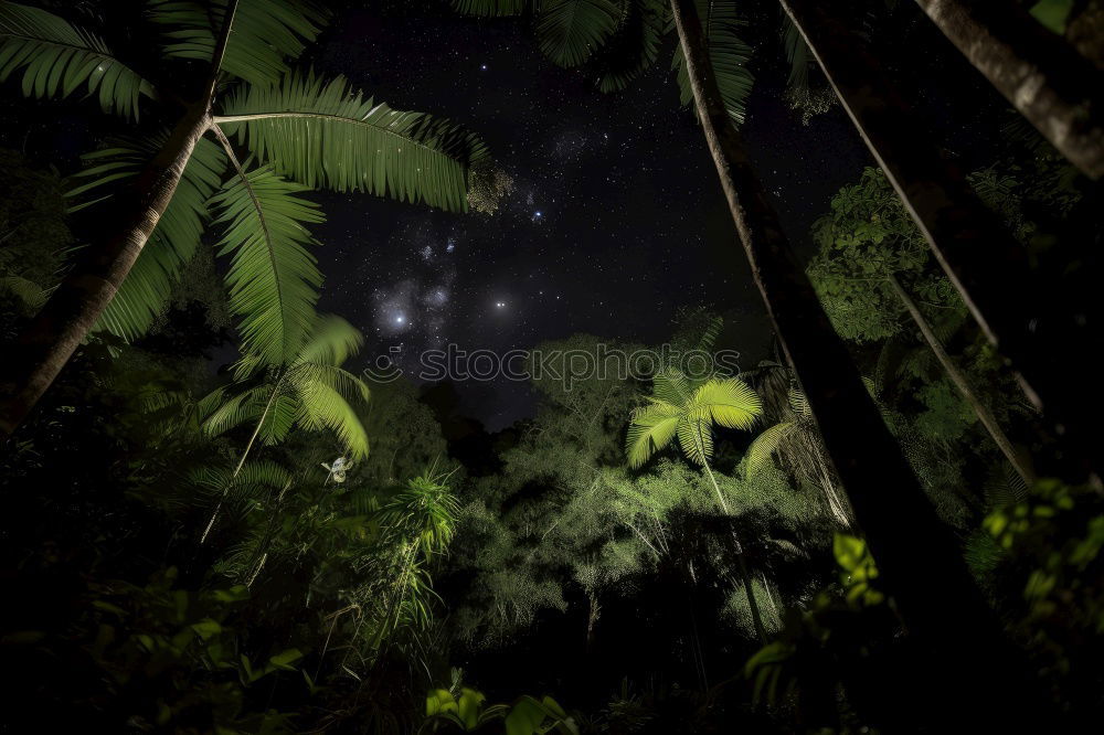 Similar – Image, Stock Photo starry sky Nature Plant