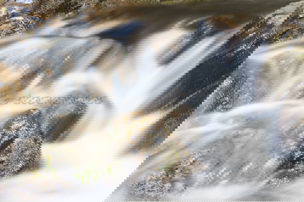 Similar – Image, Stock Photo Crystal clear Nature Water