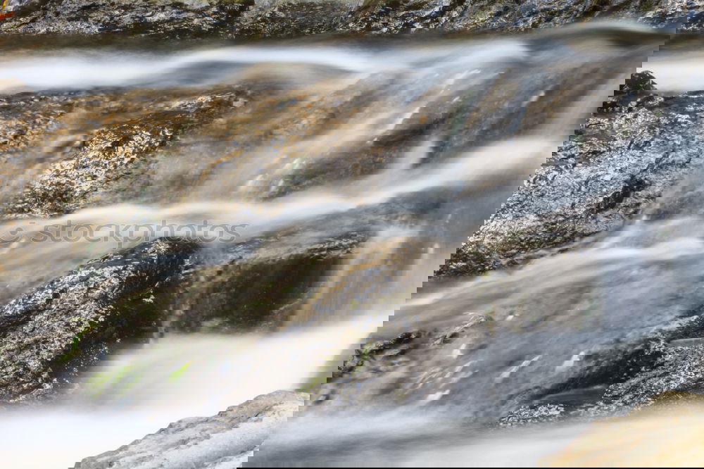 Similar – Image, Stock Photo Crystal clear Nature Water