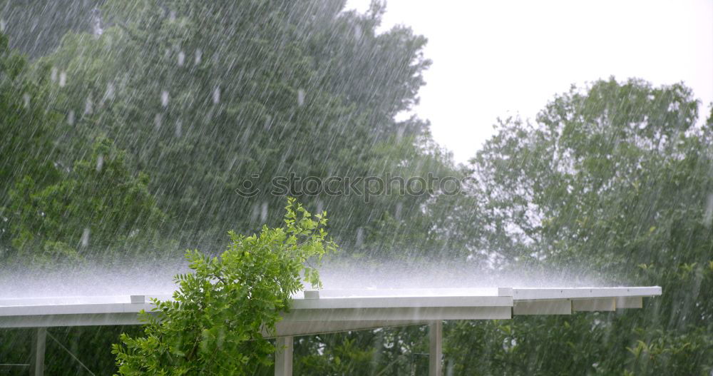 Similar – Foto Bild Regen-Party Farbfoto