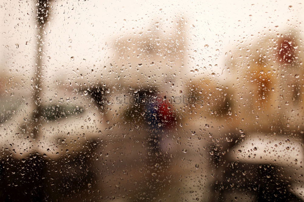 Image, Stock Photo umbrella. Air Water