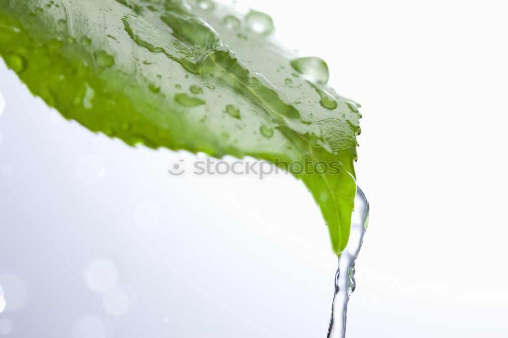 Similar – Image, Stock Photo Flowing Yellow Bathroom