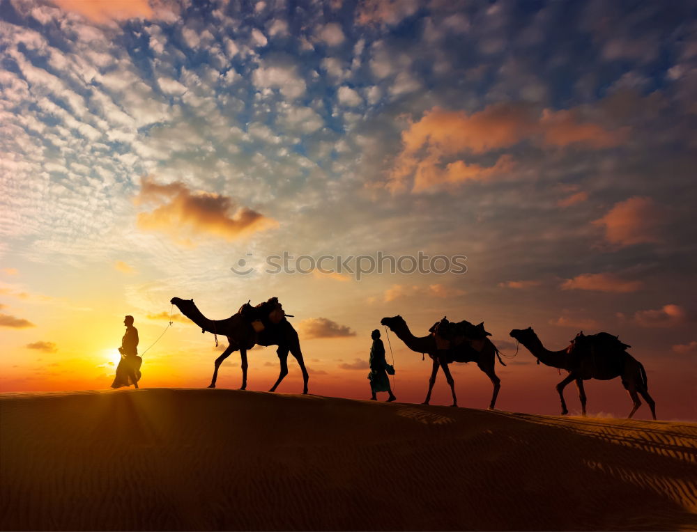 Similar – Image, Stock Photo sunset kitsch