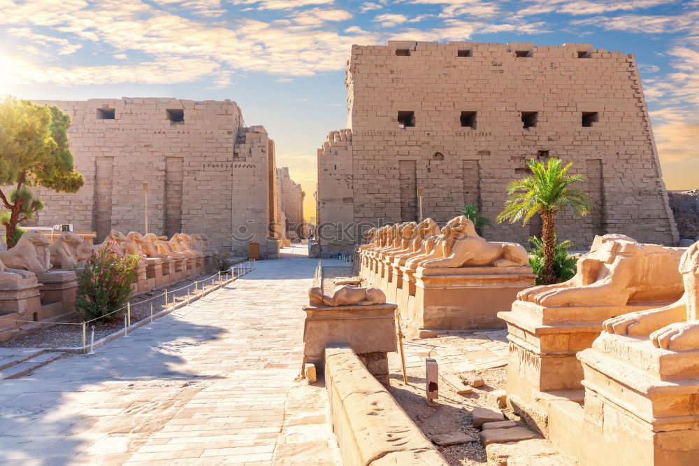 Similar – Image, Stock Photo Kasbah Tinehirt