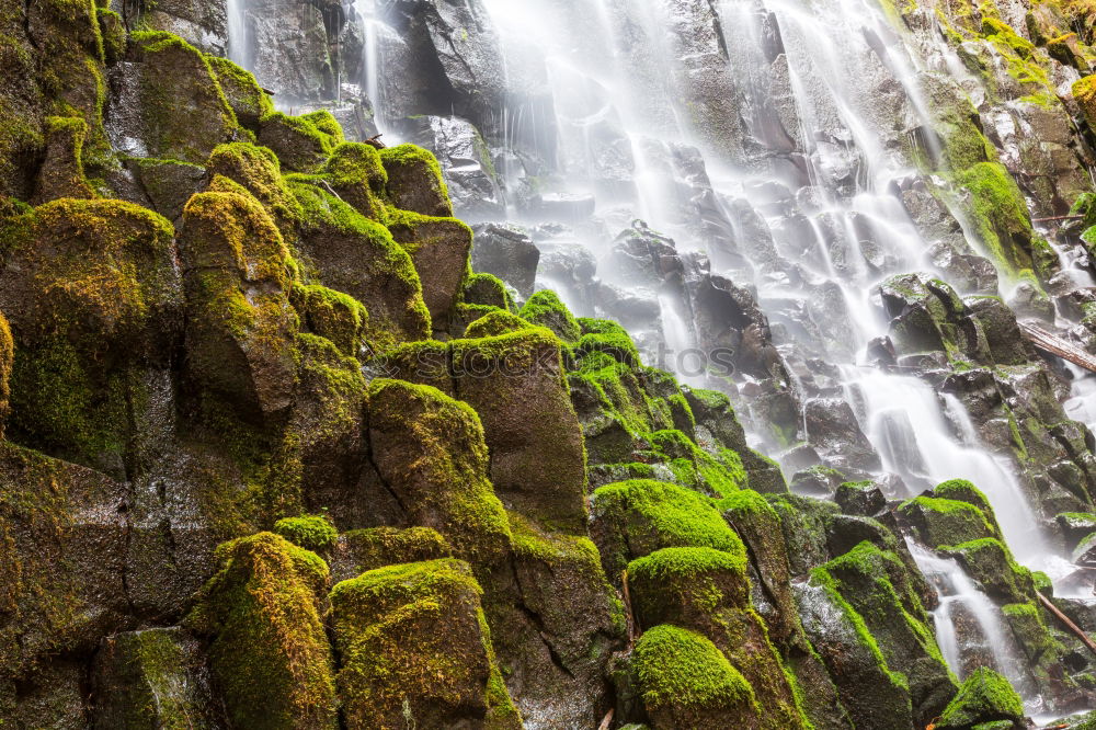 Similar – milford sound Environment