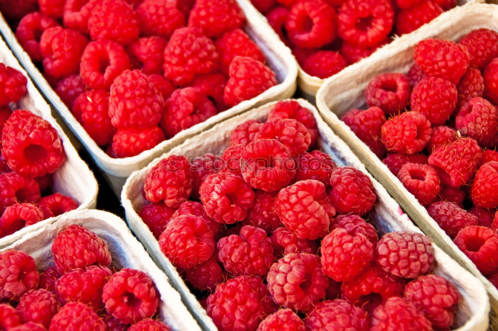 Similar – Himbeeren lecker süß