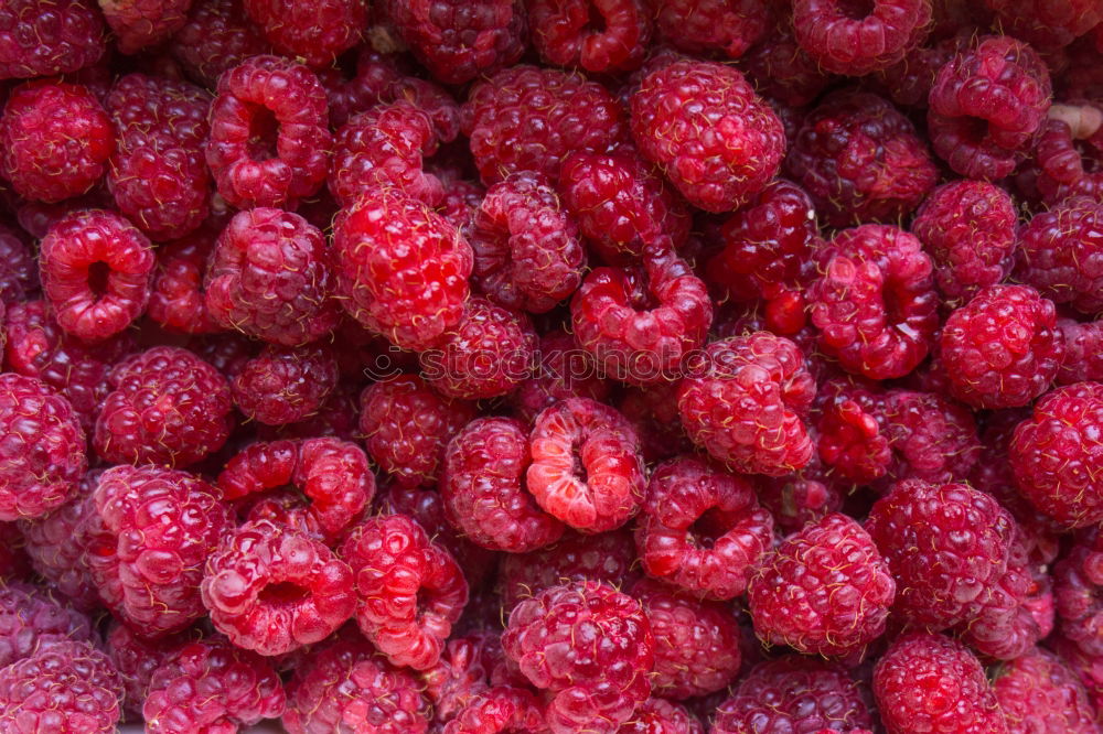 Similar – Himbeeren Lebensmittel