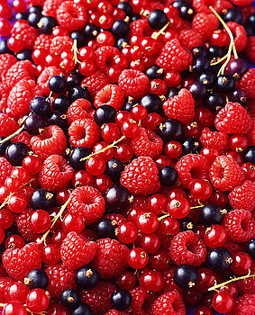 Similar – wild berries Food Fruit