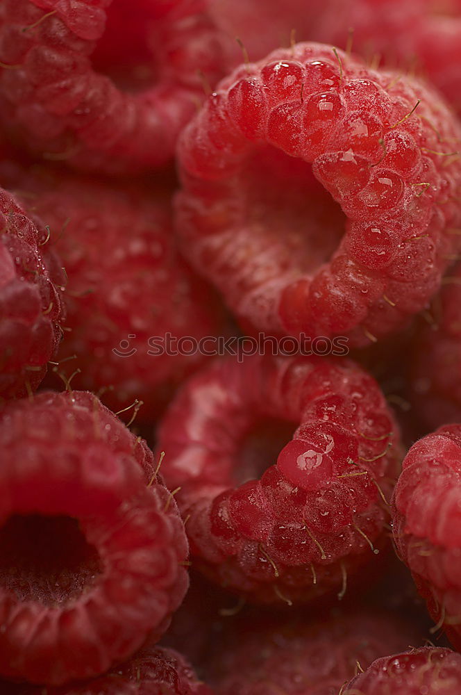 Similar – Image, Stock Photo Frozen red raspberries