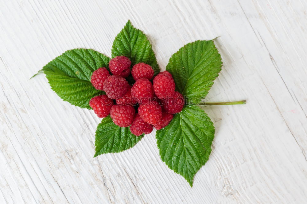 Similar – Delicious berry ice cream on a stick