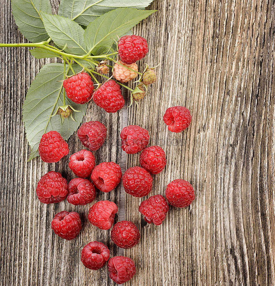 Similar – raspberries Nutrition