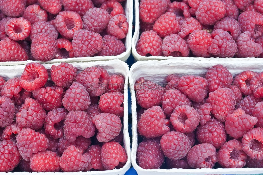 Similar – Himbeeren Lebensmittel