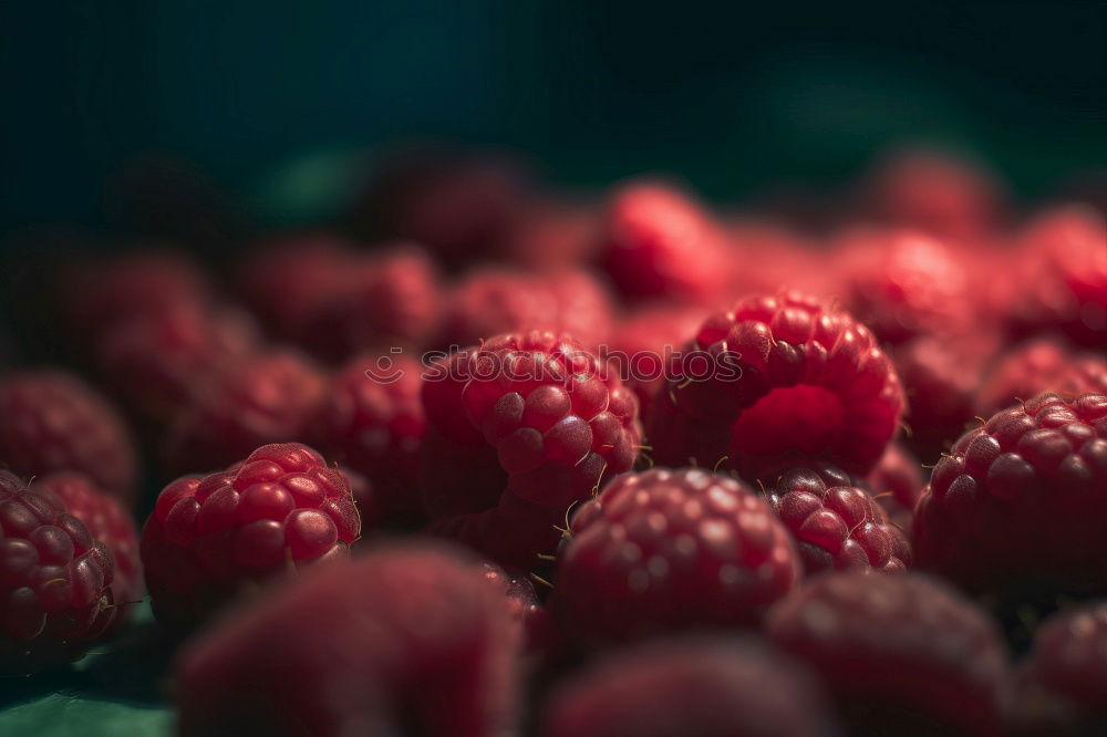 Image, Stock Photo Berries put on ice (and left in freezer)