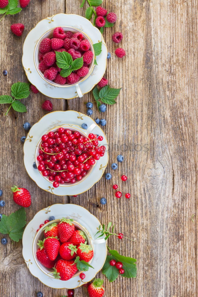 Similar – Image, Stock Photo Red and black raspberry and blueberry